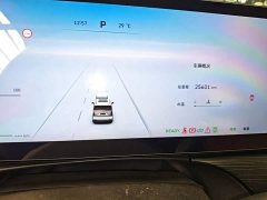 Great Wall WEY Shanshan New Energy 2023 Four-Wheel Drive Flagship Edition - ფოტო 12