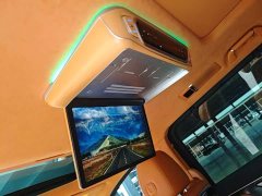 Great Wall WEY Shanshan New Energy 2023 Four-Wheel Drive Flagship Edition - ფოტო 18