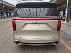 Great Wall WEY Shanshan New Energy 2023 Four-Wheel Drive Flagship Edition - ფოტო 6