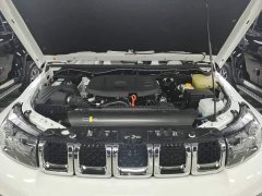 Beijing BJ40 2.0T Salute 2020 Glory Edition - ფოტო 20