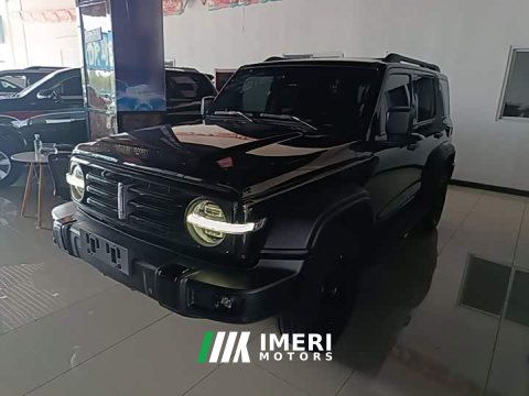 2021 Tank 300 Off-Road Edition 2.0T Conqueror - ავტომობილი ჩინეთიდან