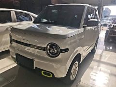 Geely Panda Mini 210km Vitality Edition - ფოტო 2