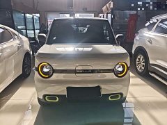 Geely Panda Mini 210km Vitality Edition - ფოტო 3