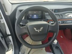Wuling Hongguang MINIEV 2020 Zizai Edition LFP Battery - ფოტო 11