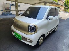 FAW Besturn Xiaoma 222km Dynamic Edition - ფოტო 1