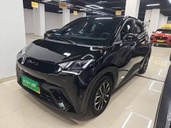 BYD Seagull Glory Edition 305km Vitality Version - ფოტო 1