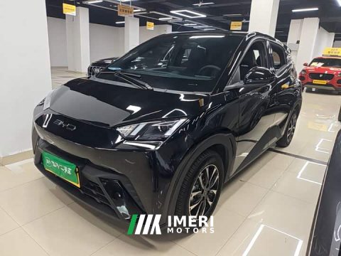 2024 BYD Seagull Glory Edition 305km Vitality Version - ავტომობილი ჩინეთიდან
