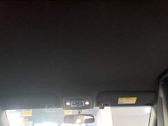 BYD Seagull Glory Edition 305km Vitality Version - ფოტო 18