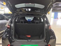 BYD Seagull Glory Edition 305km Vitality Version - ფოტო 19