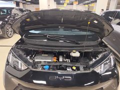 BYD Seagull Glory Edition 305km Vitality Version - ფოტო 20