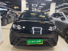 BYD Seagull Glory Edition 305km Vitality Version - ფოტო 3