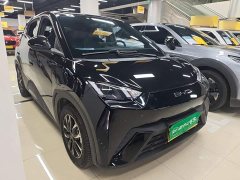 BYD Seagull Glory Edition 305km Vitality Version - ფოტო 4