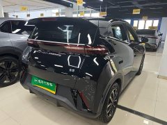 BYD Seagull Glory Edition 305km Vitality Version - ფოტო 7