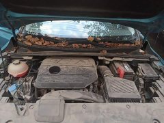 Geely Emgrand S 2021 1.4T CVT Flagship - ფოტო 11