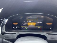 Volkswagen Magotan 2 Million Units Celebration Edition 280TSI DSG Comfort - ფოტო 14