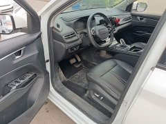 Wuling Kaje 2020 1.5T CVT Premier - ფოტო 12