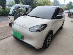 Wuling Binguo 333km Joy Edition - ფოტო 2