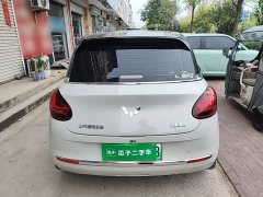 Wuling Binguo 333km Joy Edition - ფოტო 4