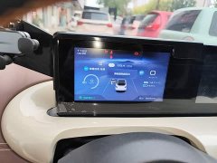Wuling Binguo 333km Joy Edition - ფოტო 8