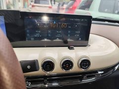 Wuling Binguo 333km Joy Edition - ფოტო 9