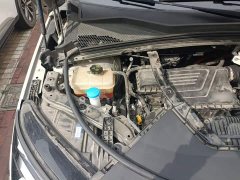 BYD Song Plus New Energy 2023 Champion Edition DM-i 110KM Flagship Plus - ფოტო 19