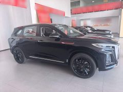 FAW Red Flag HS3 PHEV 2025 125km Range Jingwei PLUS 2 Million Units Anniversary Edition - ფოტო 4