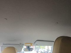 Wuling Hongguang MINIEV Macaron Fashion Edition LFP Battery - ფოტო 9