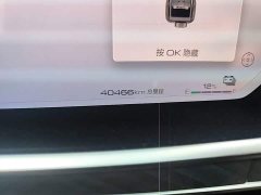 Tank 700 New Energy Hi4-T Extreme Edition - ფოტო 17
