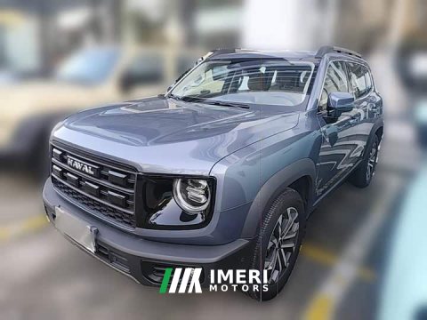 2025 Great Wall Dachshund 2024 1.5T DCT Border Collie Edition - ავტომობილი ჩინეთიდან