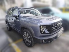 Great Wall Dachshund 2024 1.5T DCT Border Collie Edition - ფოტო 6