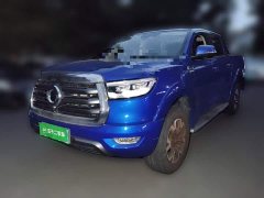 Wuling Cannon 2.0T Passenger Global Edition Automatic Gasoline 2WD Comfort Standard Box GW4C20B - ფოტო 1