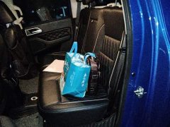 Wuling Cannon 2.0T Passenger Global Edition Automatic Gasoline 2WD Comfort Standard Box GW4C20B - ფოტო 15
