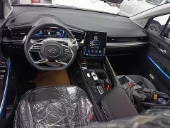 Hyundai Cosworth 2024 270TGDi LUX Prestige Edition - ფოტო 6