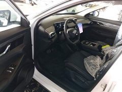 Dongfeng SKY EV01 2025 530km AIR Elite Edition - ფოტო 12