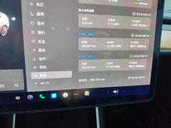 Tesla Model 3 2020 Standard Range RWD Upgrade - ფოტო 8