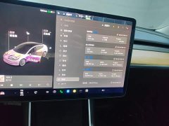 Tesla Model 3 2020 Standard Range RWD Upgrade - ფოტო 9
