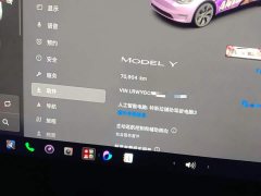 Tesla Model Y Rear-Wheel Drive - ფოტო 13