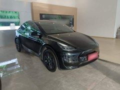 Tesla Model Y Rear-Wheel Drive - ფოტო 4