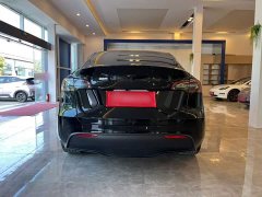Tesla Model Y Rear-Wheel Drive - ფოტო 8