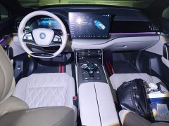 BYD Yuan Plus DM-i Glory Edition 112KM Premium - ფოტო 13