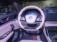 BYD Yuan Plus DM-i Glory Edition 112KM Premium - ფოტო 3