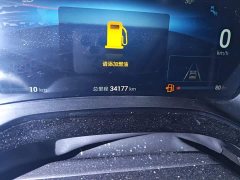 BYD Yuan Plus DM-i Glory Edition 112KM Premium - ფოტო 5