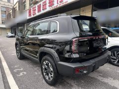 Great Wall Dachshund 2.0T DCT Chinese Rural Dog Edition - ფოტო 5