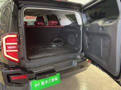 Tank 400 New Energy 2024 Hi4-T Off-Road Edition - ფოტო 16