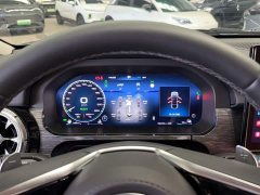 Tank 400 New Energy 2024 Hi4-T Off-Road Edition - ფოტო 20