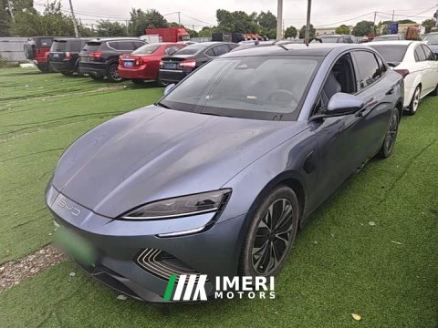 2022 BYD Dolphin 550km Standard Range RWD Elite - ავტომობილი ჩინეთიდან