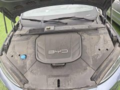 BYD Dolphin 550km Standard Range RWD Elite - photo 16