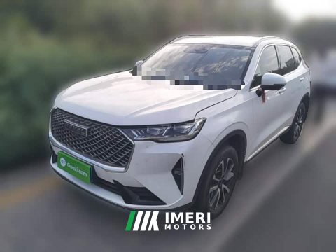 2025 Haval H6 2024 1.5T Two-Wheel Drive Classic Edition - ავტომობილი ჩინეთიდან