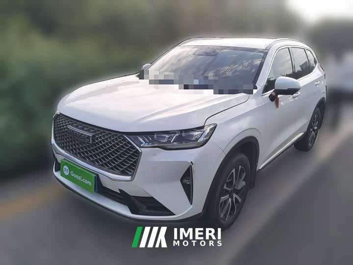 Haval H6 1.5T Two-Wheel Drive Classic Edition