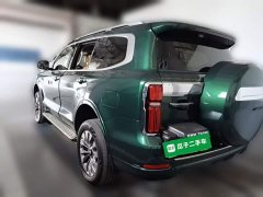 Tank 500 New Energy Hi4-Z - ფოტო 7